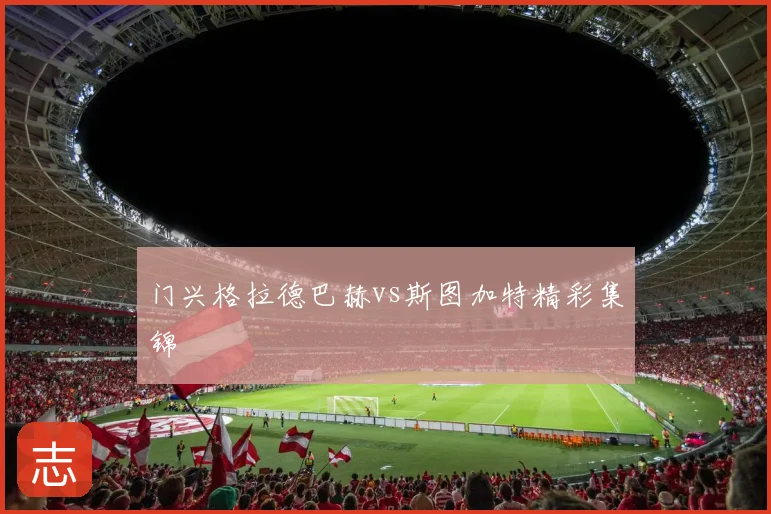 门兴格拉德巴赫vs斯图加特精彩集锦